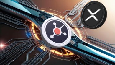 ripple-(xrp)-is-growing-institutional-adoption,-but-analysts-suggest-ruvi-ai-(ruvi)-as-the-crypto-to-turn-$500-into-$50,000-in-2025
