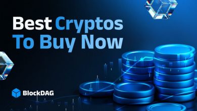 crypto-presales-to-invest-in-today:-blockdag,-maxi,-wepe-&-best-are-on-every-watchlist