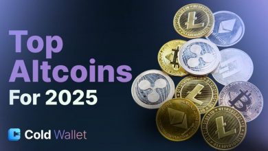 cold-wallet-leads-top-cryptos-to-buy-now,-with-dogecoin,-shiba-inu-&-bonk-close-behind