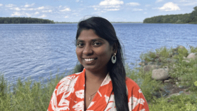 next-generation-cmp-pads:-enhancing-efficiency-in-chip-fabrication